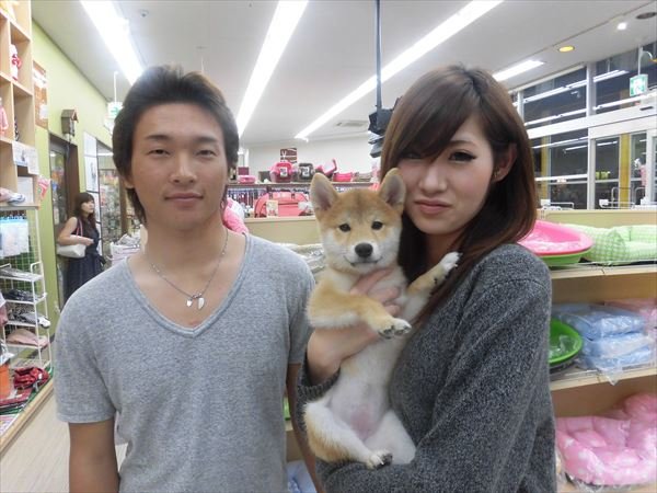 写真