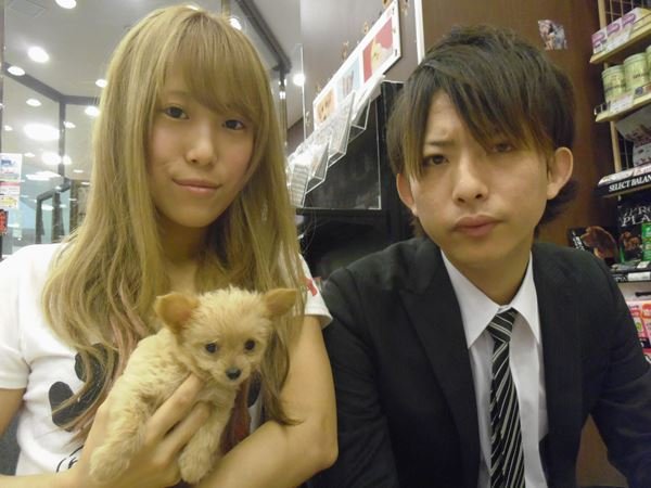 写真