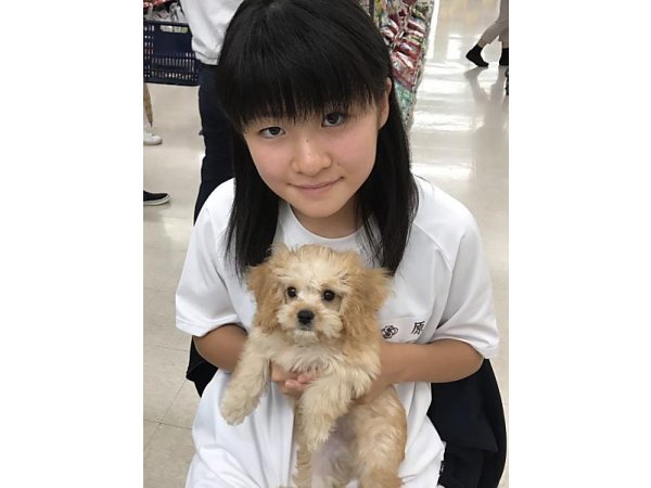 写真