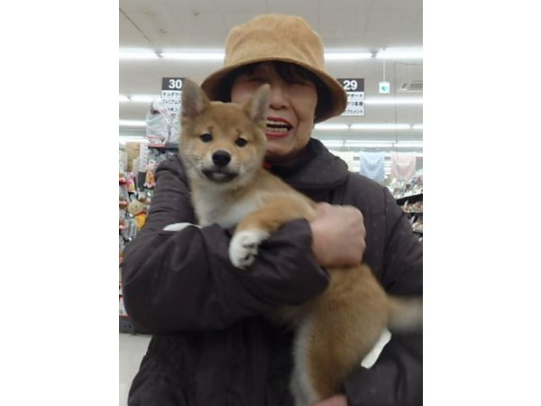 写真