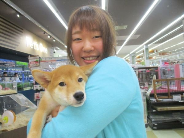 写真