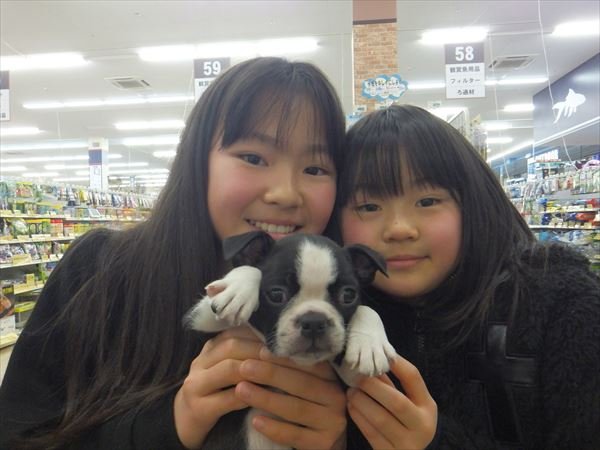 写真