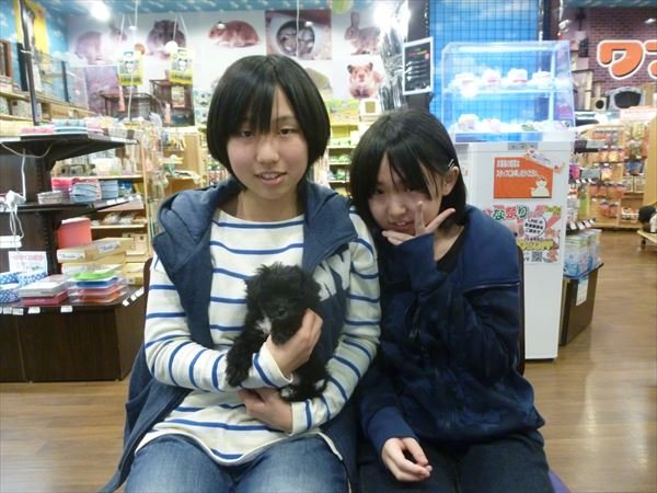 写真