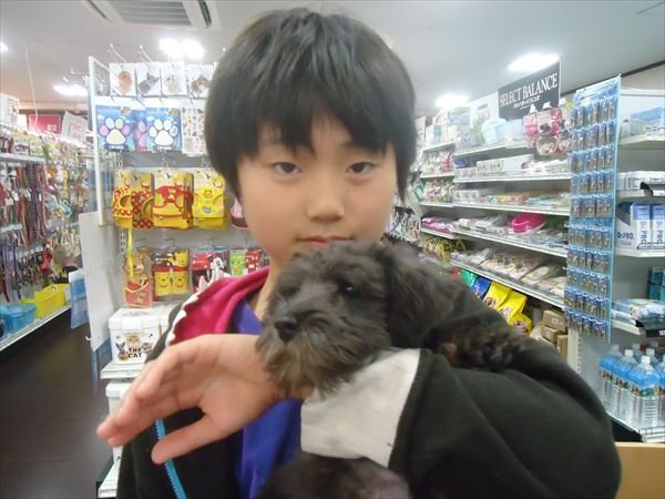 写真