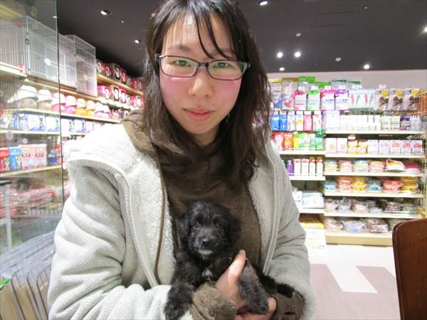 写真