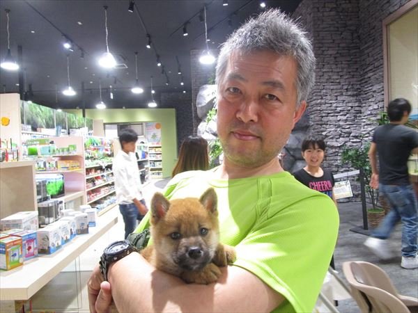 写真