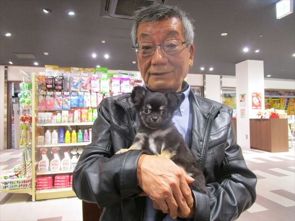 写真