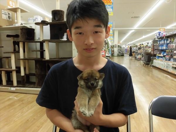 写真