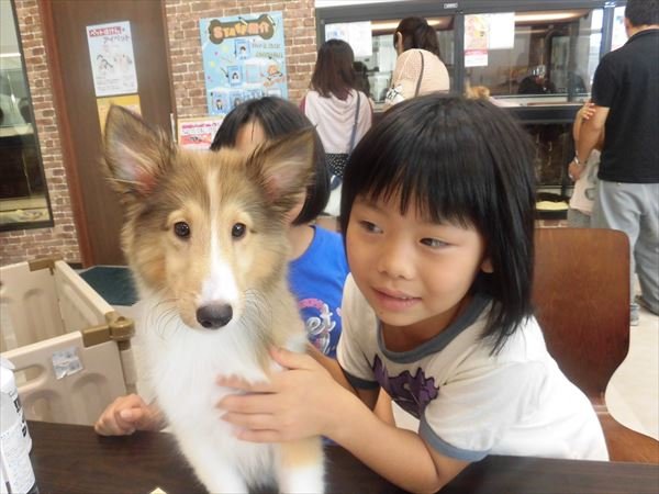 写真