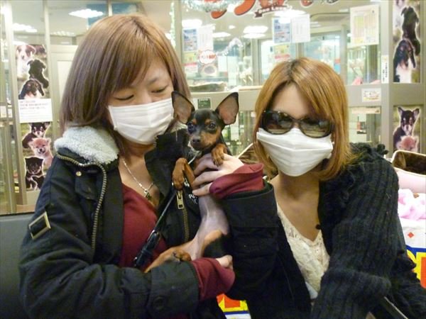 写真