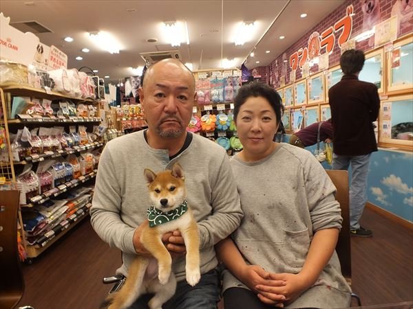 写真