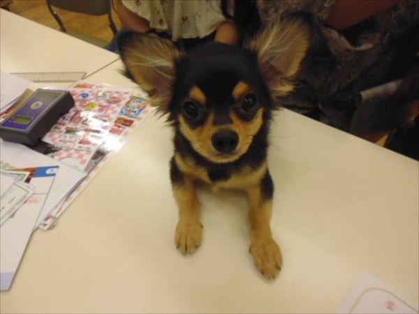 写真