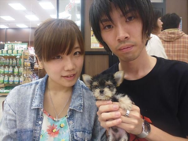 写真