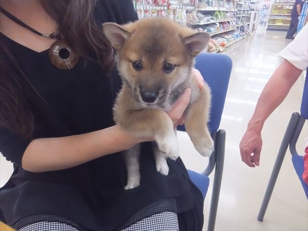 写真