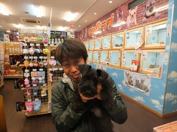 写真