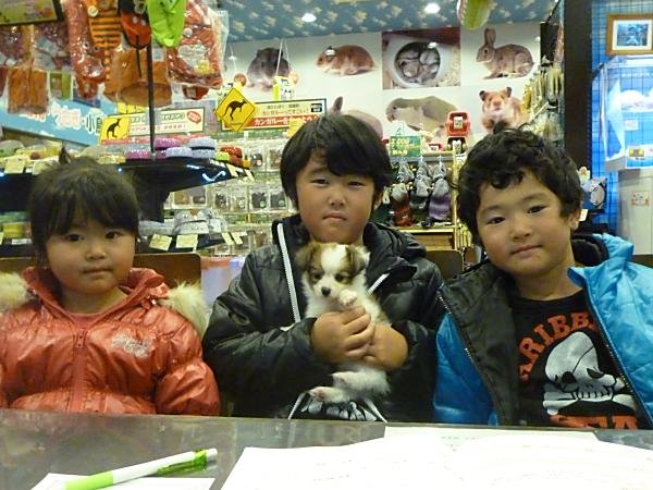 写真