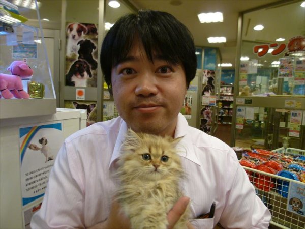 写真