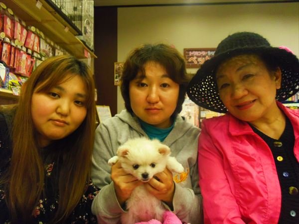 写真
