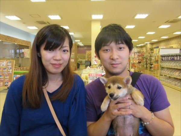 写真