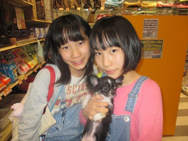 写真