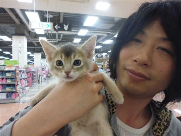 写真