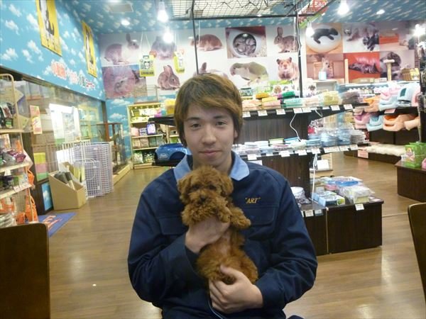 写真