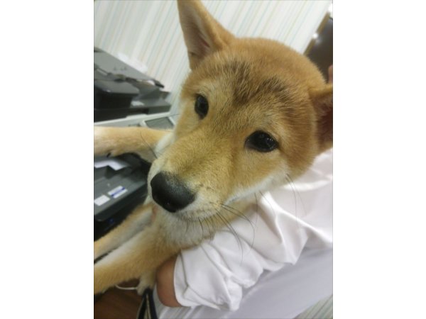 写真