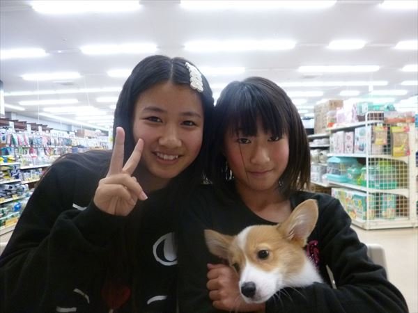 写真