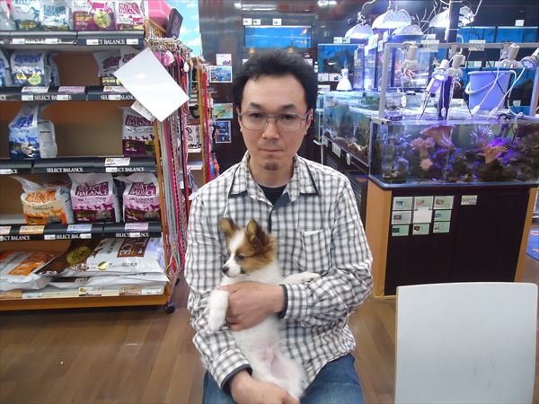 写真