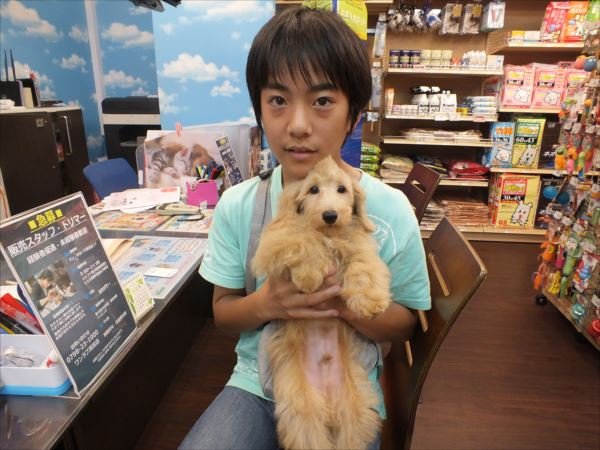 写真