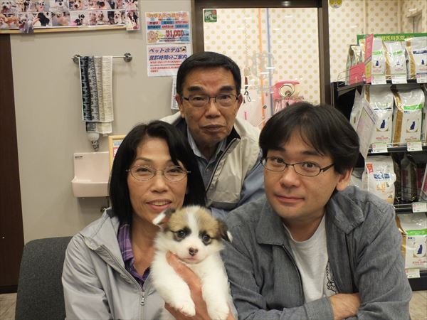 写真