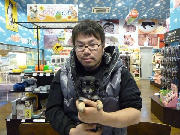 写真