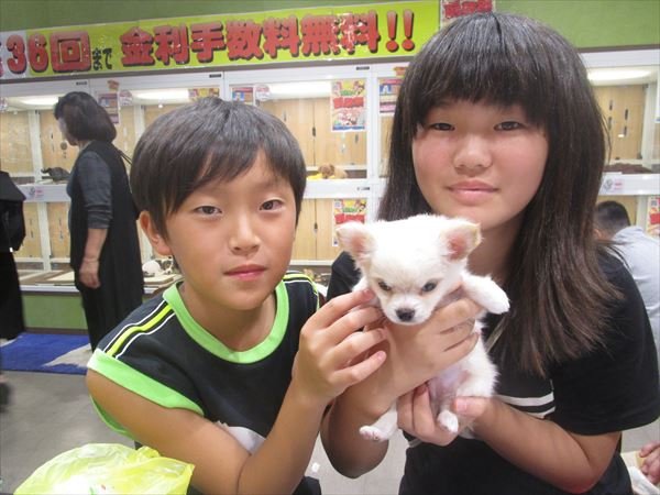 写真