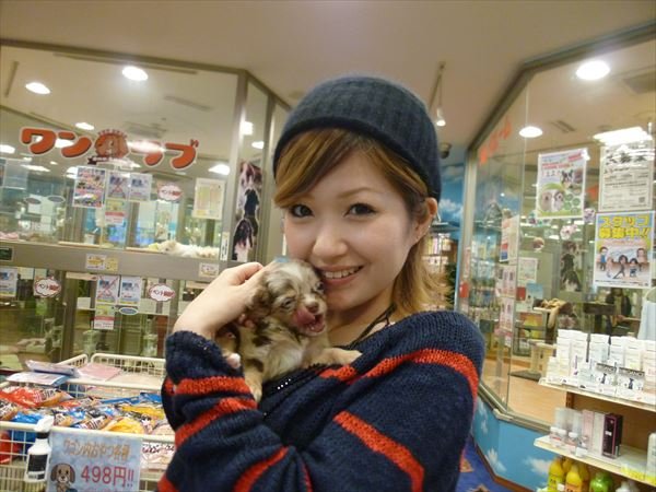 写真