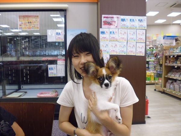 写真