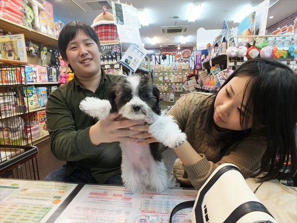 写真