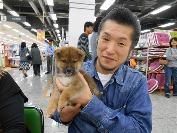 写真