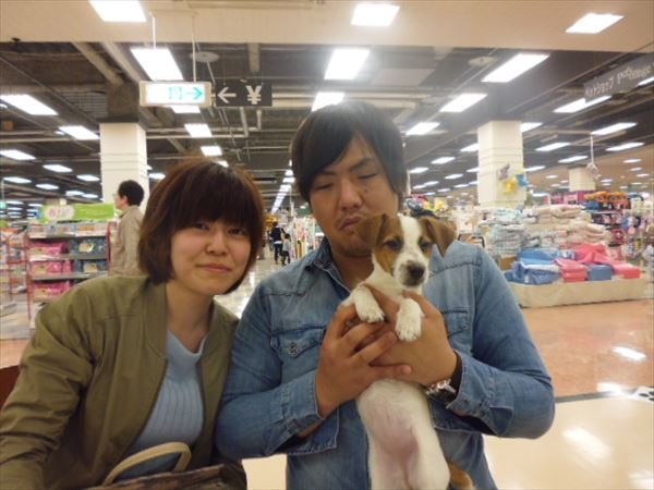 写真