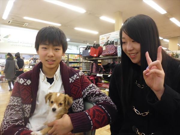 写真