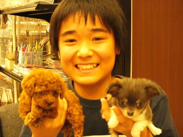 写真
