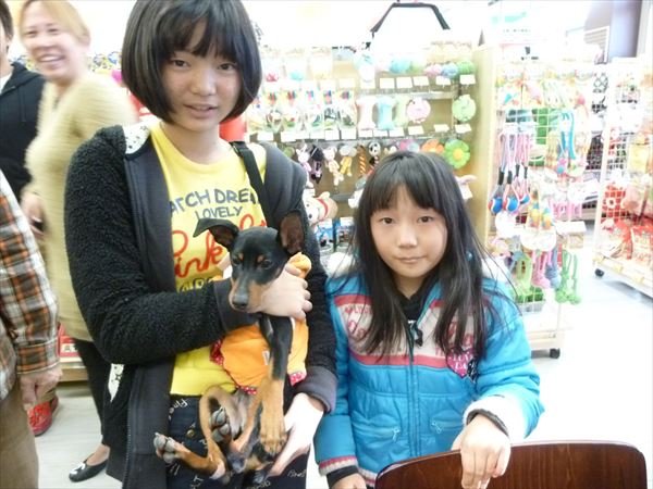 写真