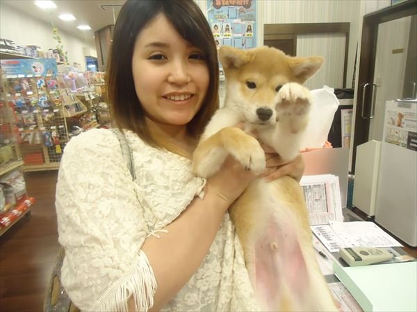 写真