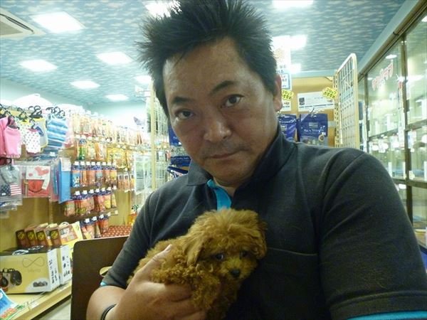 写真