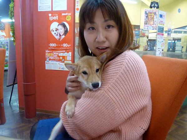 写真