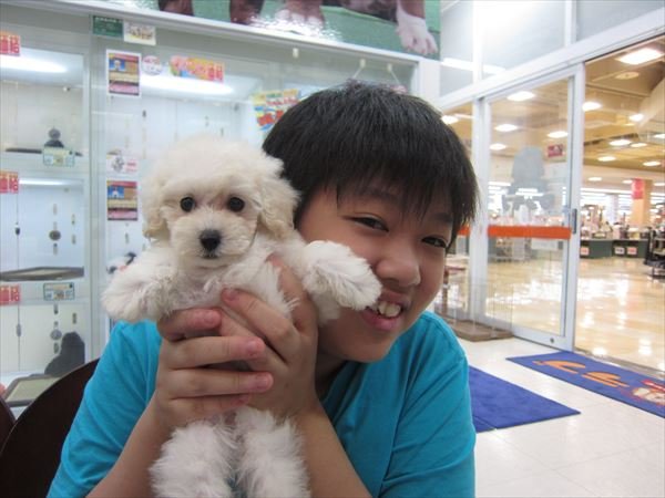 写真