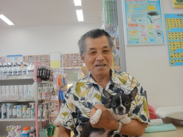 写真