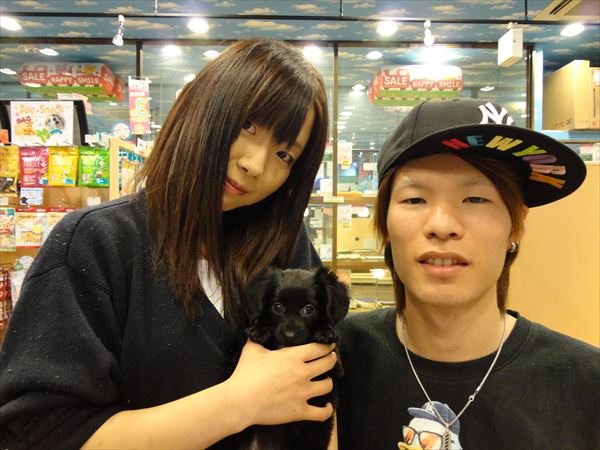 写真