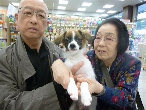 写真
