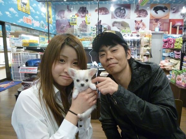 写真