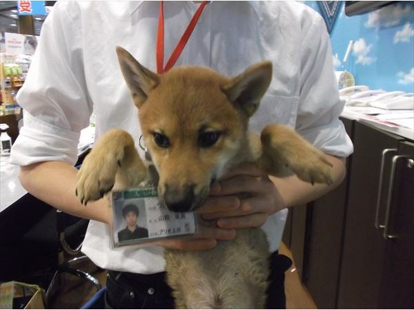 写真